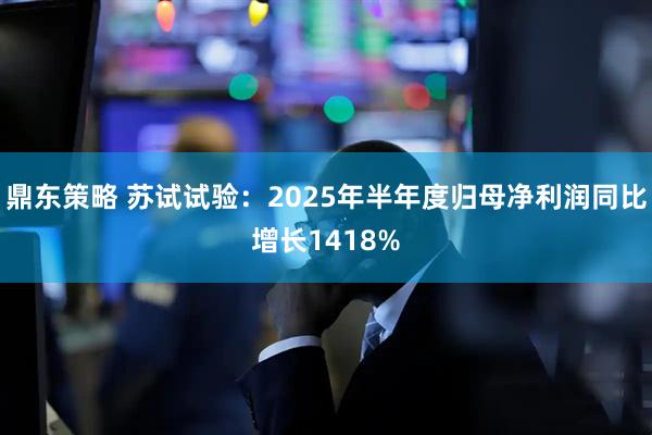 鼎东策略 苏试试验：2025年半年度归母净利润同比增长1418%