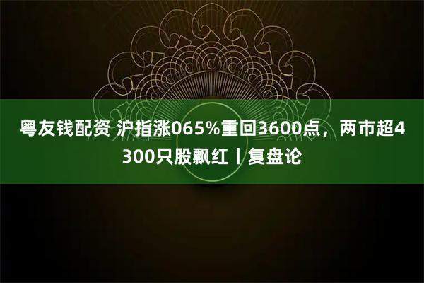 粤友钱配资 沪指涨065%重回3600点，两市超4300只股飘红丨复盘论