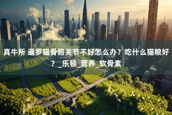 真牛所 暹罗猫骨骼关节不好怎么办？吃什么猫粮好？_乐顿_营养_软骨素